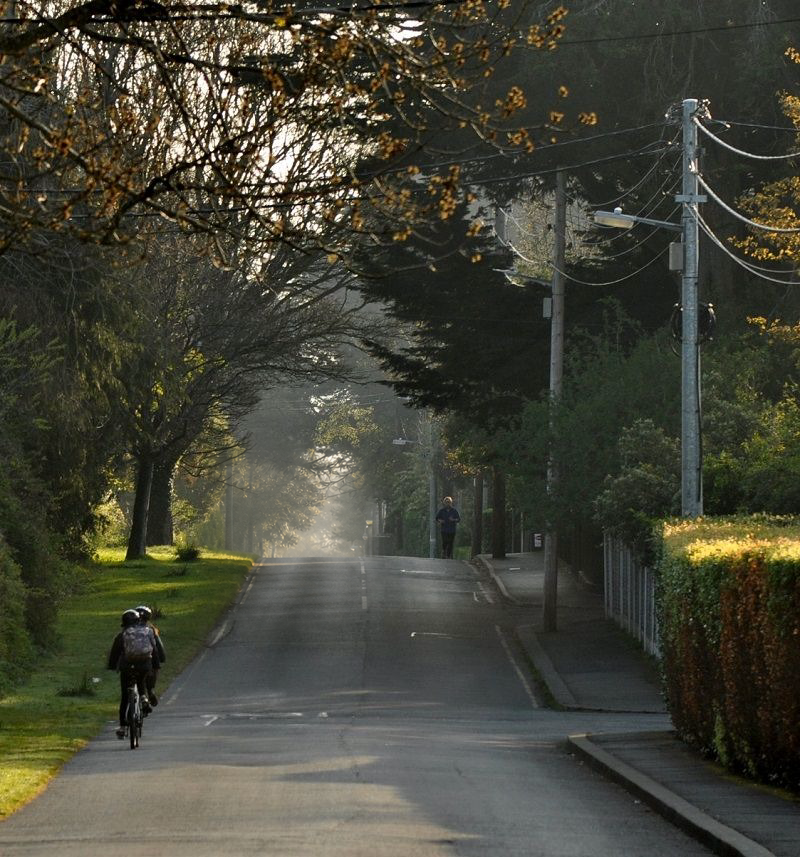 A tree-lined road on The Burnaby estate at golden hour, Greystones